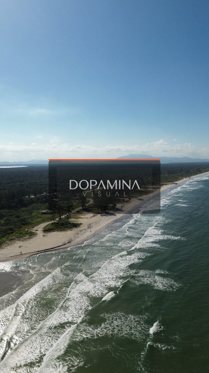 Boqueirão Sul • DJI_0118