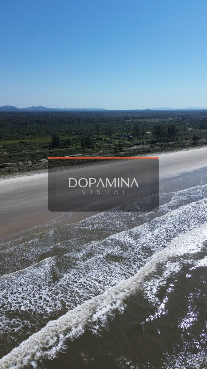 Juruvauva / barra nova • DJI_0060