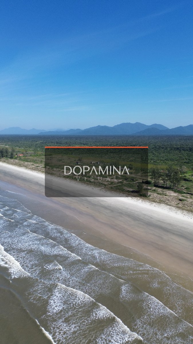 Juruvauva / barra nova • DJI_0058