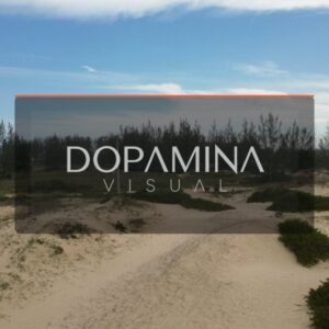 Ponta da Praia • DJI_0226