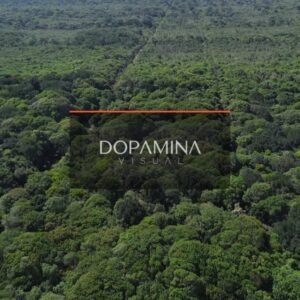 Juruvauva / barra nova • DJI_0037