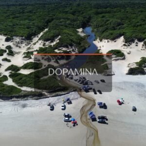 Juruvauva / barra nova • DJI_0036