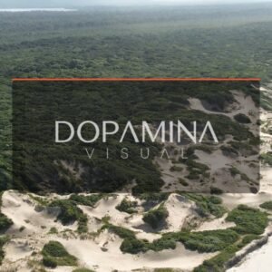 Juruvauva / barra nova • DJI_0112